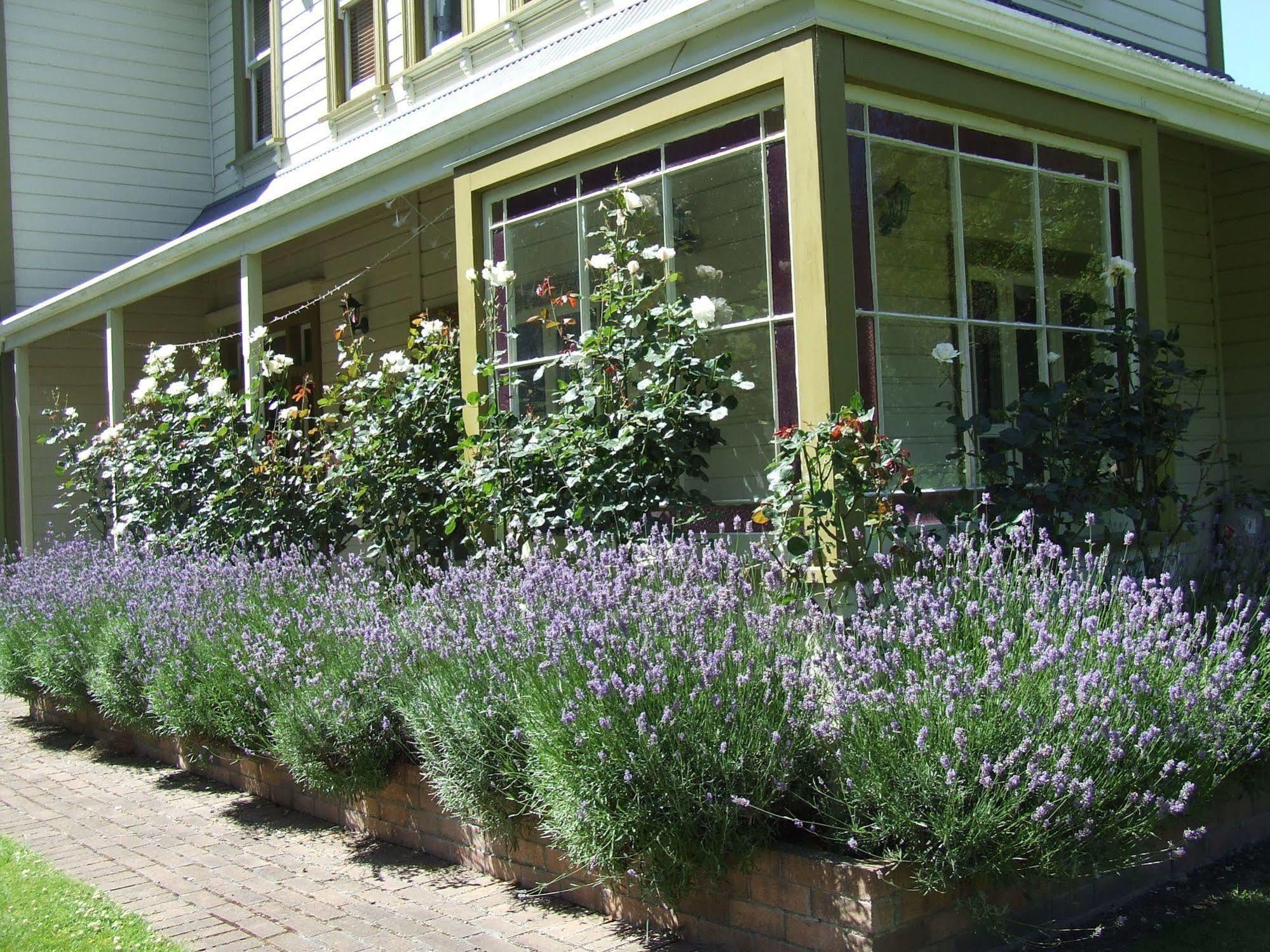 Tairoa Lodge & Cottage Hawera Exterior photo